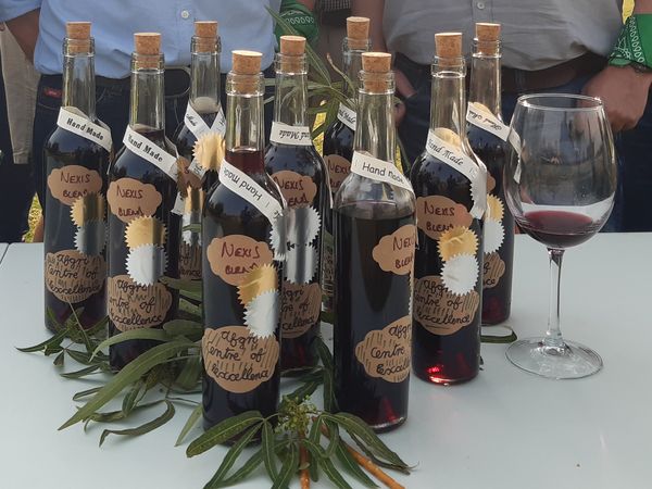 Hand-labelled bottles from a wine blending challenge